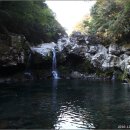 한라산천연보호구역 이미지