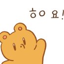썸머골드