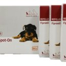 대현동물약국 이미지