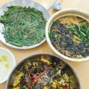 선비꼬마김밥 두류역점 이미지