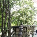 완주에코오토캠핑장 이미지