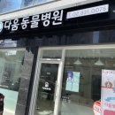 동물병원 다움 이미지