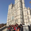 경희대 박사 Tiger kicks 태권도 이미지