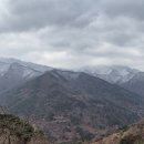 견불동산장 이미지