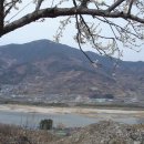 갈미농장 Daum카페