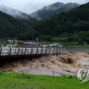 천도리양지마을 이미지