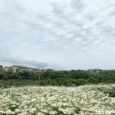 수산역사공원 이미지