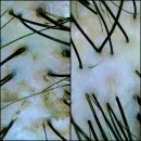 수원-0254 이미지