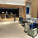 펫-오션 | 강릉 신라모노그램 레지던스 디럭스 펫룸 오션뷰 후기｜반려견과 함께한 럭셔리 호캉스 &amp; 수영장 방문기