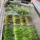 하나마트 이미지