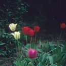 시네마천국Ⅱ 이미지