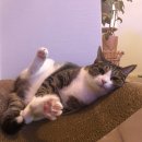 성심목욕탕 이미지