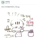 에코미디어 이미지