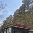 양지1공원 | 에버랜드 근처 맛집 찾으면 여기 용인 양지 맛집 러스틱스모크하우스 후기