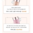 비바코리아 이미지