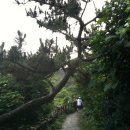 포유펜션 이미지