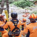 괴산비상13호 이미지