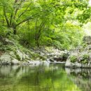 007흥정계곡 반딧불캠핑장 이미지