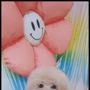 멍했냥 평택본점 이미지