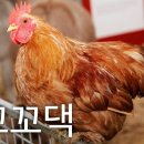 꼬꼬댁 - 포항시 북구 장량로 171 | 꼬꼬댁