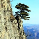 신석산 등산로 | 의성 금성산-비봉산 환종주.