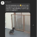 황자반놀이터 이미지