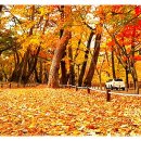 표충사놀이터(=표충사야영장) 이미지