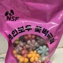 꽃과떡