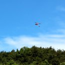 우쿠렐라 이미지