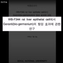 신비의료기 이미지