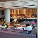 비비드 힐 이미지