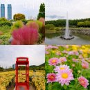 태화강펜션 | 울산 여행코스 추천 태화강 국가정원 국화꽃 순두부 맛집 카페