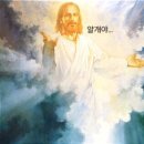 오키도키찜닭 네이버블로그