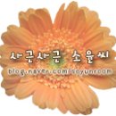 지디텍