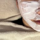 비스킨 샵 | 왁싱+스킨플래닝 한 번에 광주 뷰티샵 비비한뷰티 방문기 (가격 후기 포함)