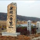 송암길 이미지