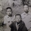 용동목장 이미지