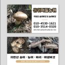 지품농원