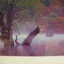 절골민박 이미지