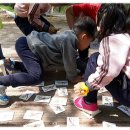 내북초교 병설유치원 이미지