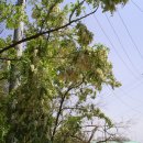 봉무 빗물펌프장 이미지