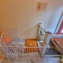 반듯하개 이미지