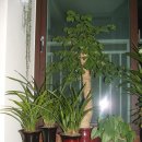 동훈네집 이미지