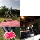 하가누리 이미지