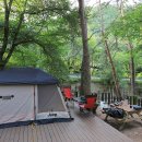 소나무숲아래 이미지