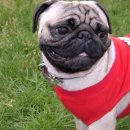 해피팡팡 이미지