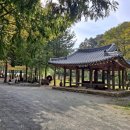 지방천 이미지