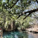 루니농장 이미지