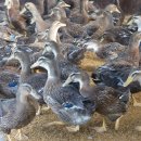 민속한의원 이미지