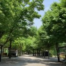 용대리풋살구장 | 서울 근교 경기 가평 화랑캠핑장 계곡 캠핑 2박 3일 후기 🏕️